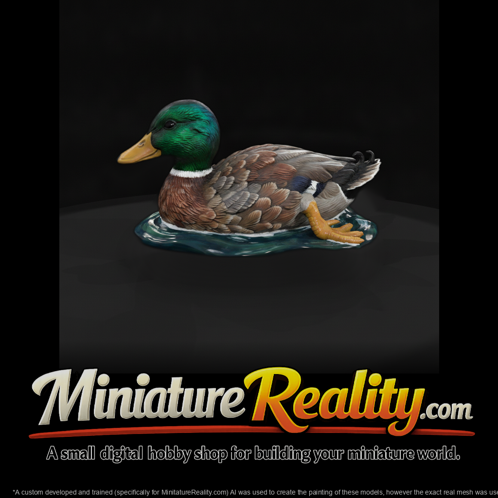 Mallard Drake on Water