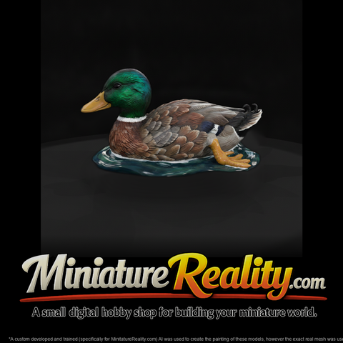 Mallard Drake on Water