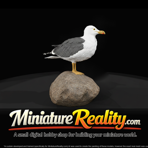 1980s-miami-beach-seagull-on