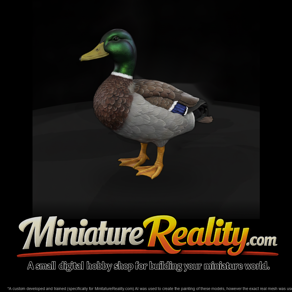 Ant 088 Mallard Male