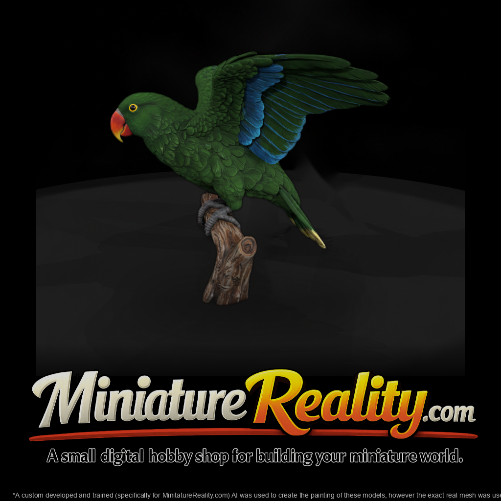 Ant 133 Eclectus Parrot Male
