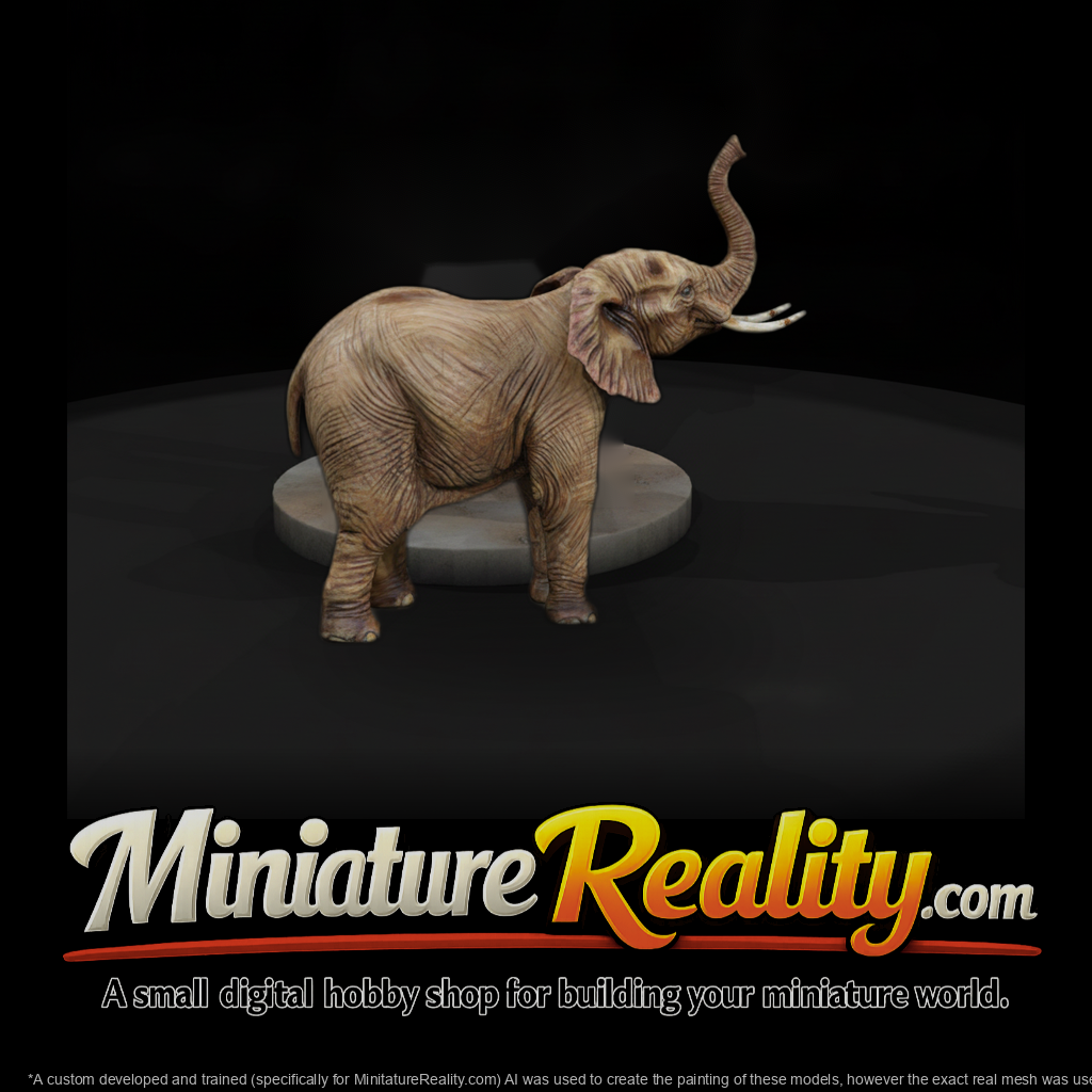 Young African Elephant
