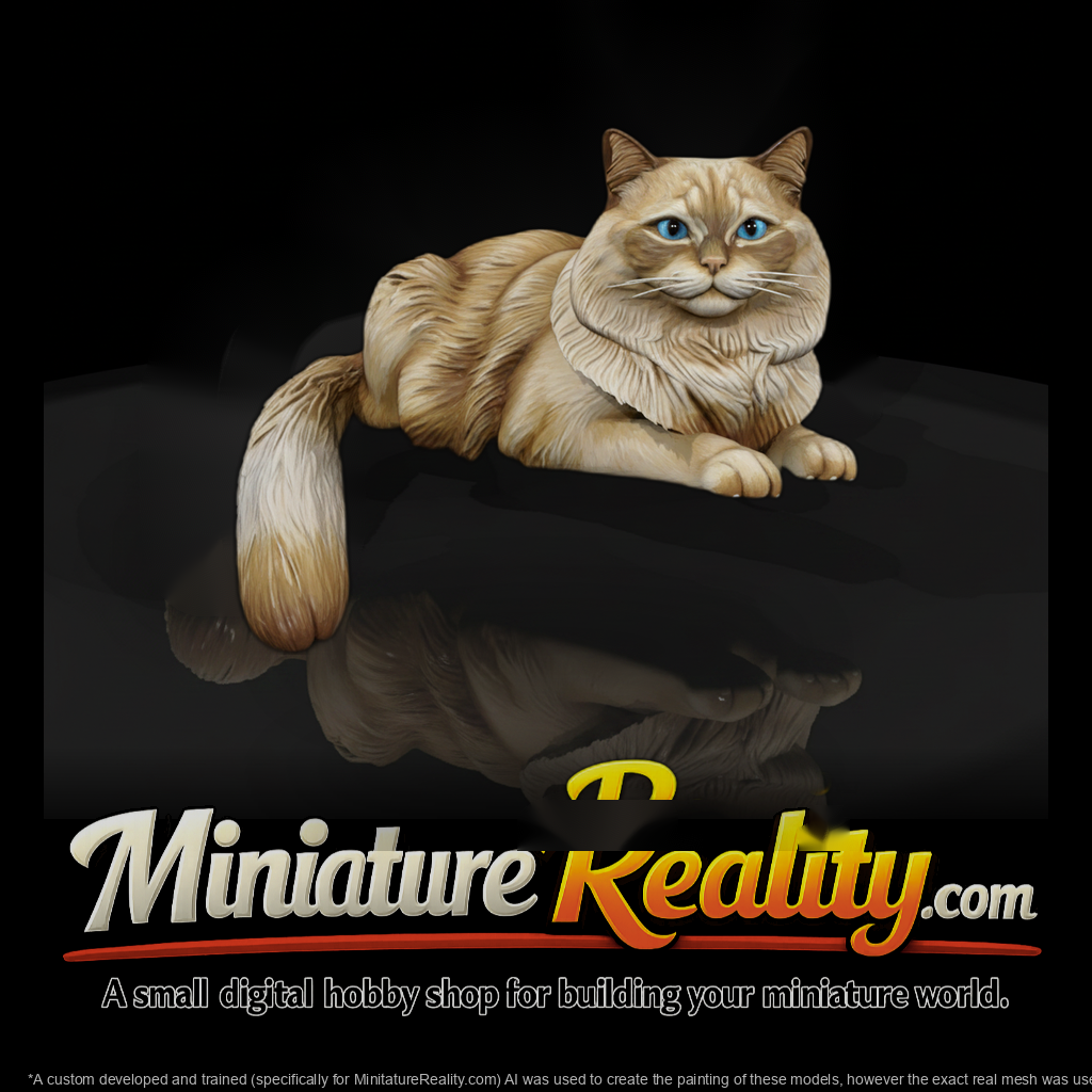 A Collection Of Housecats Himalayan Db334165 Meshr