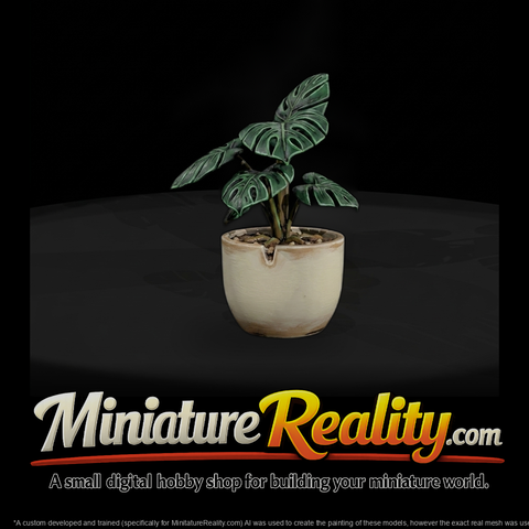 Minimalist Monstera Potted Plant