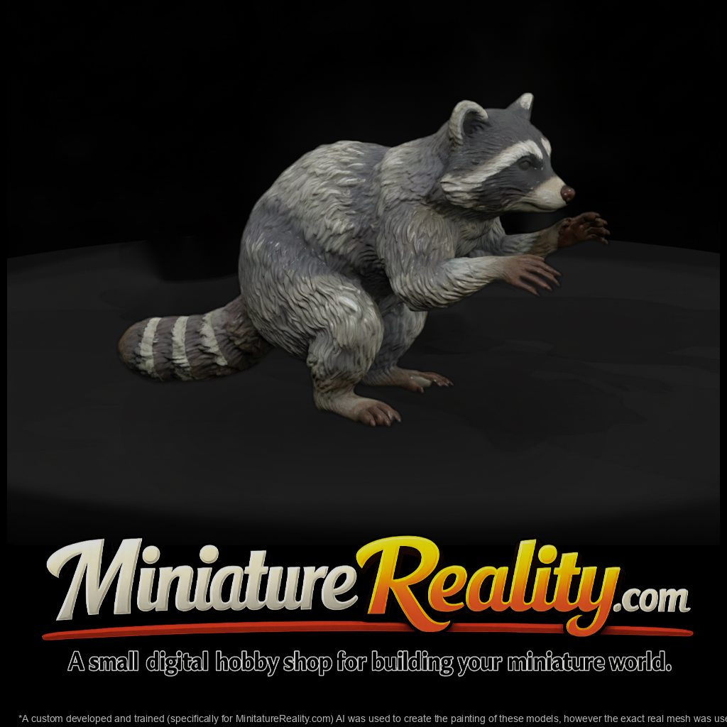 Ww 0329 Animal Raccoon