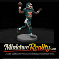American Football Quarterback Throwing — thumbnail 1