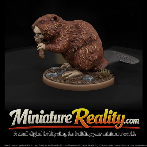 Ant 187 Beaver Male