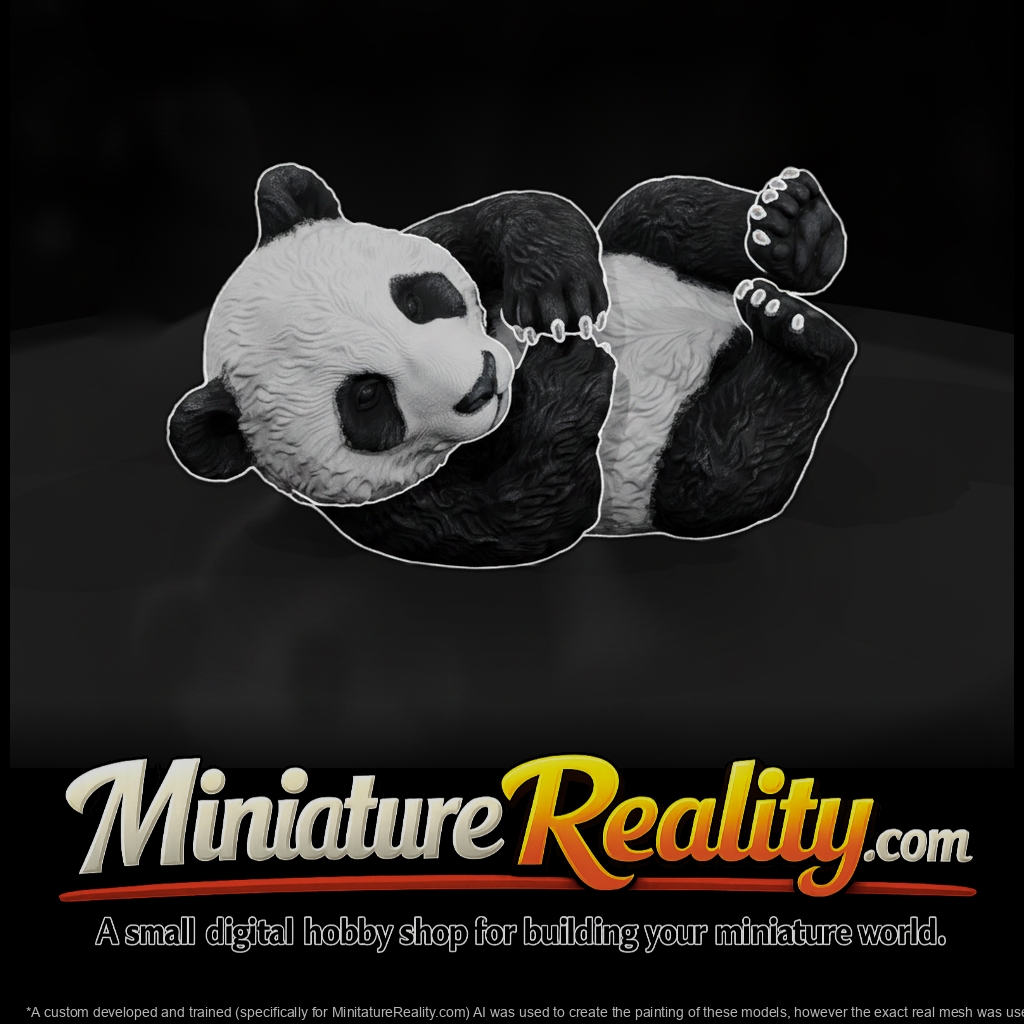 Giant Panda Cub Rolling on Its Back