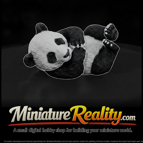 Giant Panda Cub Rolling on Its Back