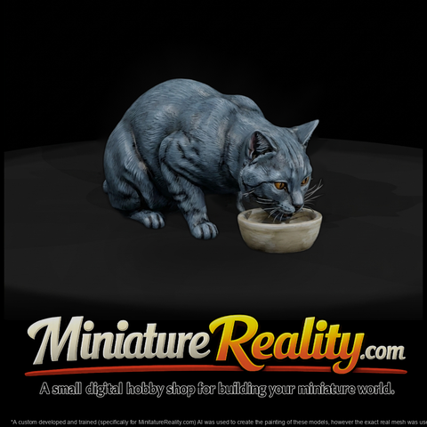 Chartreux Housecat