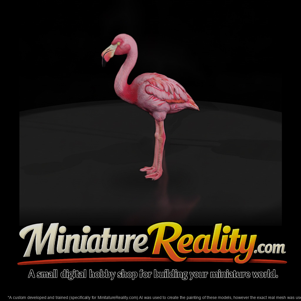 Greater Flamingo Wading Bird