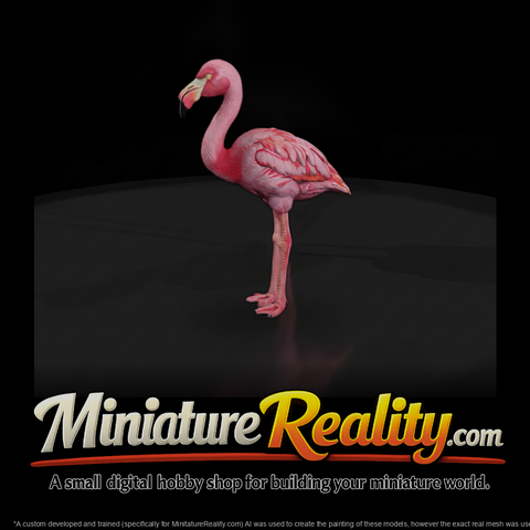 Greater Flamingo Wading Bird
