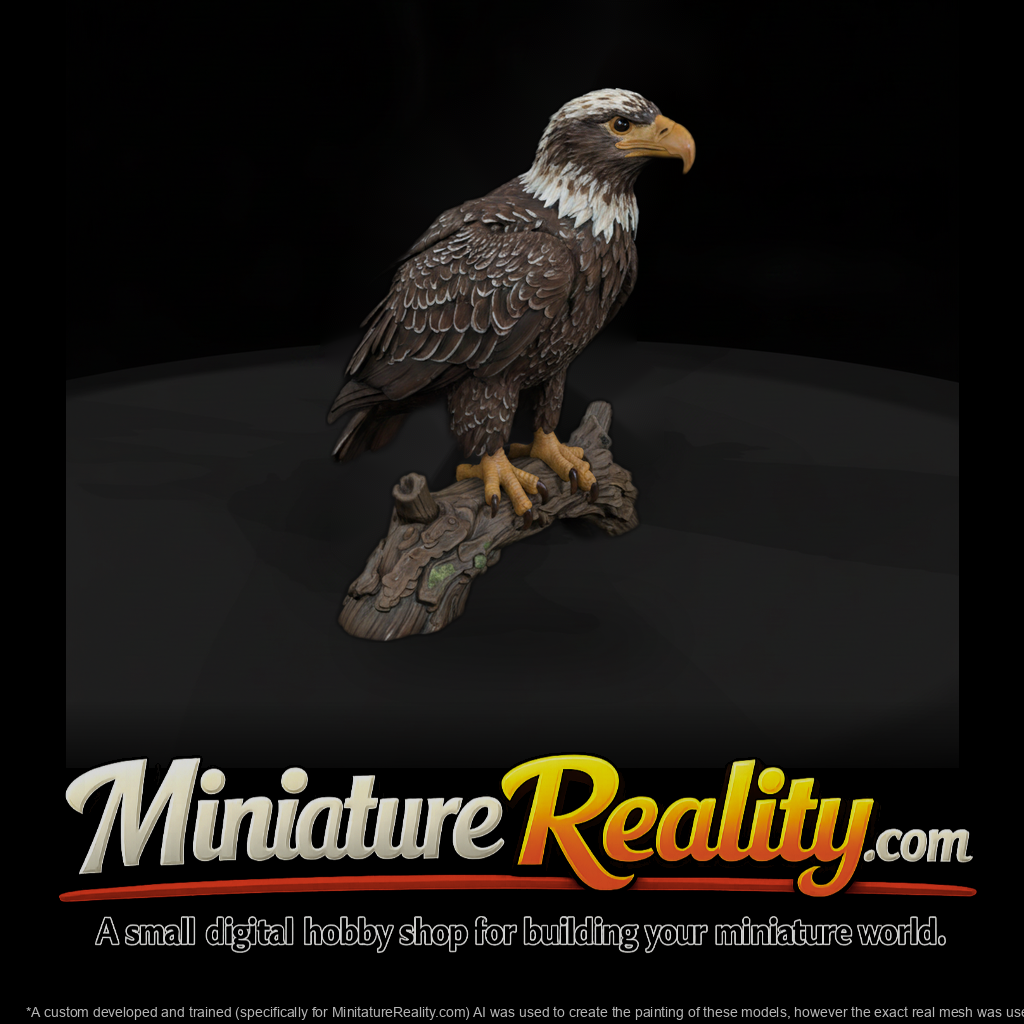 Ant 114 Bald Eagle Adolescent