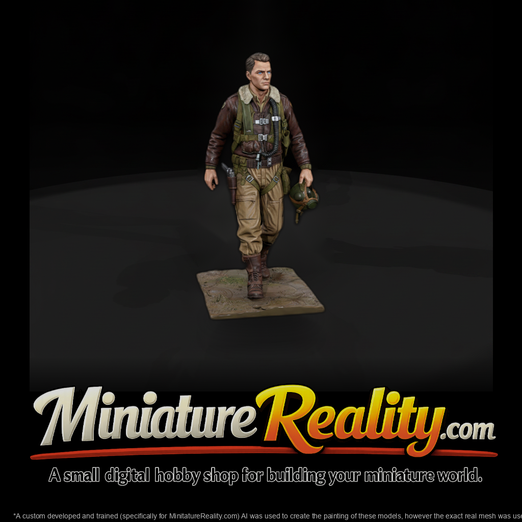 Ww2H 083 United States P 51 Fighter Pilot