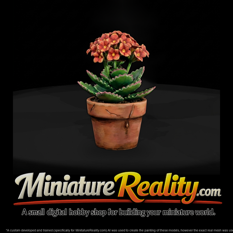Sculpted Kalanchoe Potted Succulent