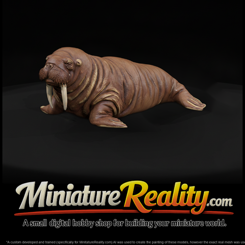 Adolescent Walrus