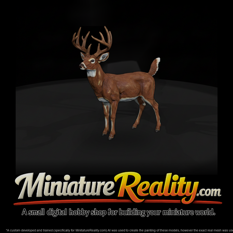 Ant 070 White Tailed Deer Male