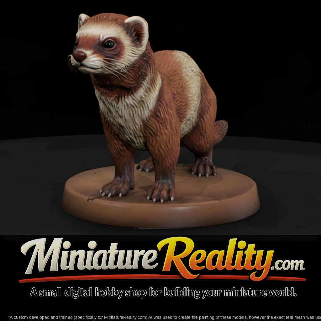 anim-28-ferret-5c2cc8