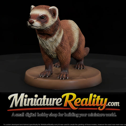 anim-28-ferret-5c2cc8