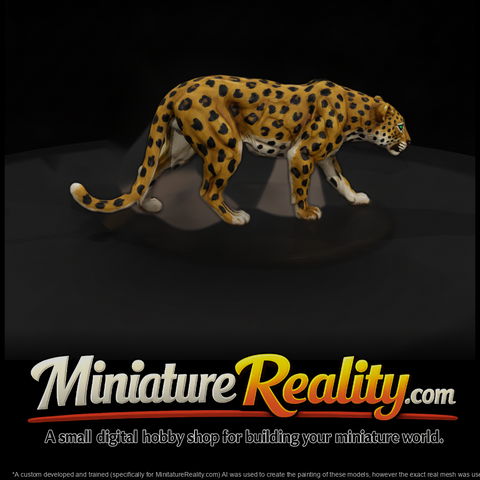 Ant 008 Leopard Female