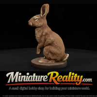 Wild Rabbit Sitting Upright — thumbnail 1