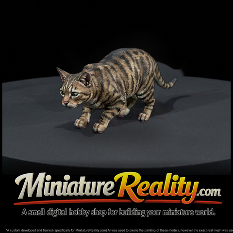 Tabby Shorthair Cat Set