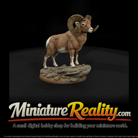 Ww 0317 Animal Desert Bighorn Ram