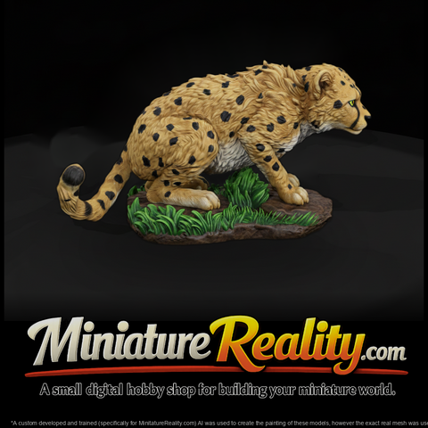 Young Cheetah Crouching