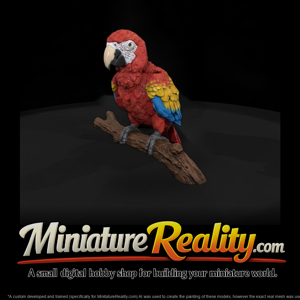 Ant 285 Scarlet Macaw Adolescent