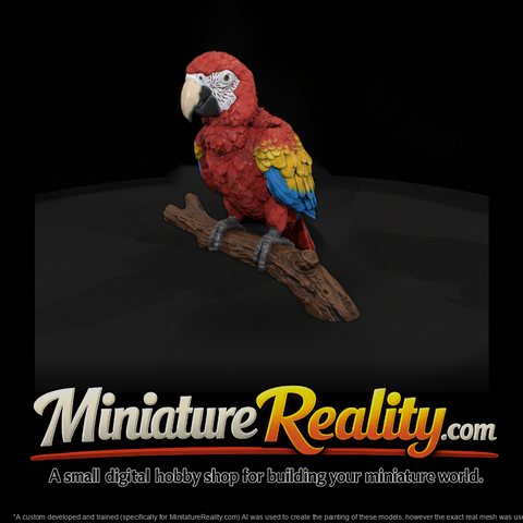Ant 285 Scarlet Macaw Adolescent