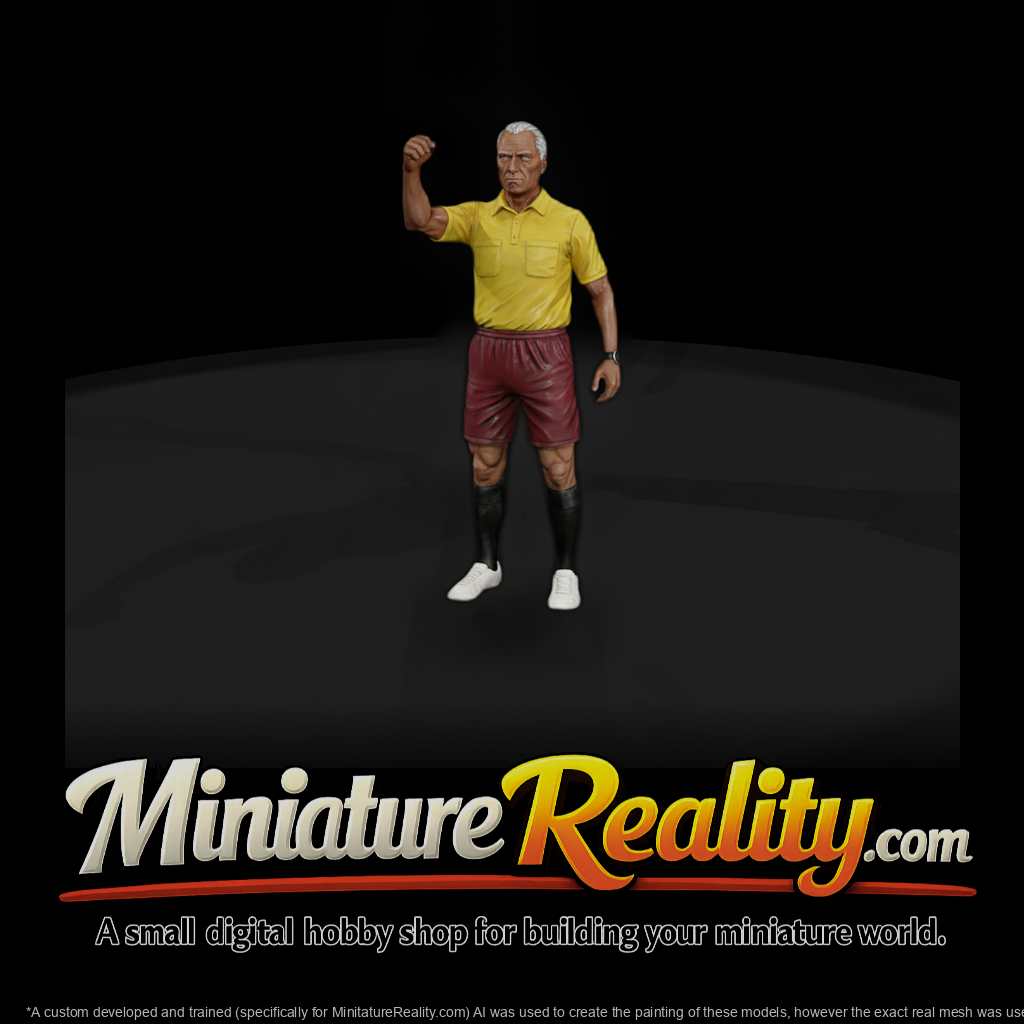 Adult Soccer Game Referee