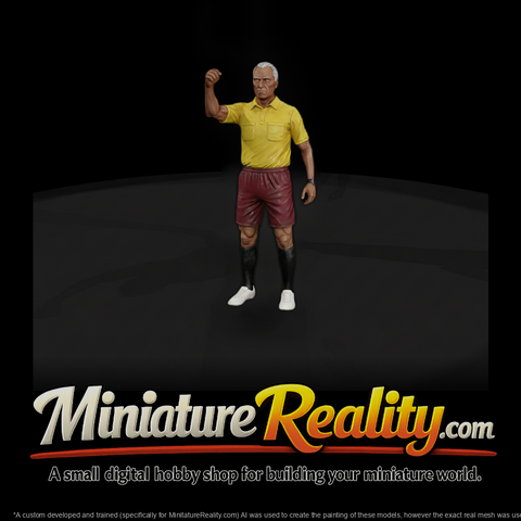 Adult Soccer Game Referee