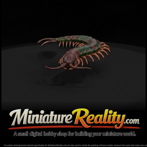 Ww 0341 Animal Giant Centipede