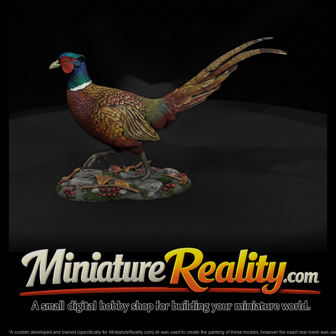 Ant 097 Ring Necked Pheasant Male