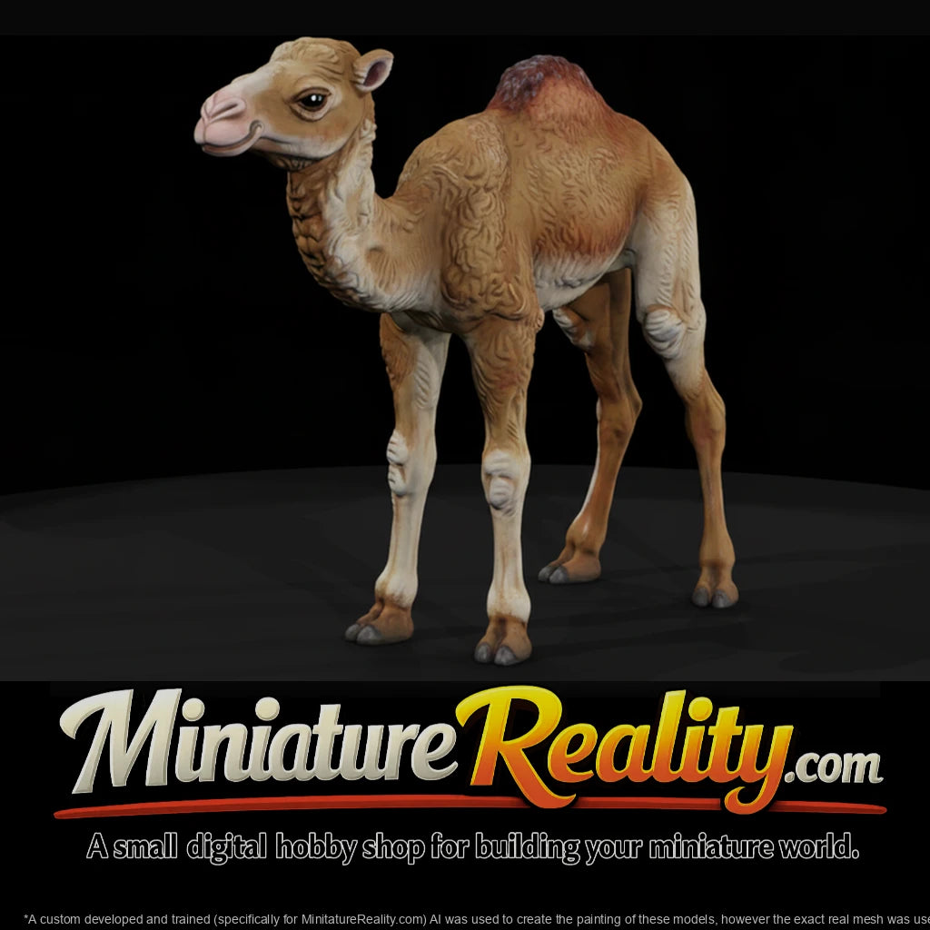 ant-216-dromedary-camel-adolescent-57b1e3