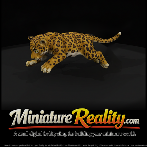 Prowling Jaguar