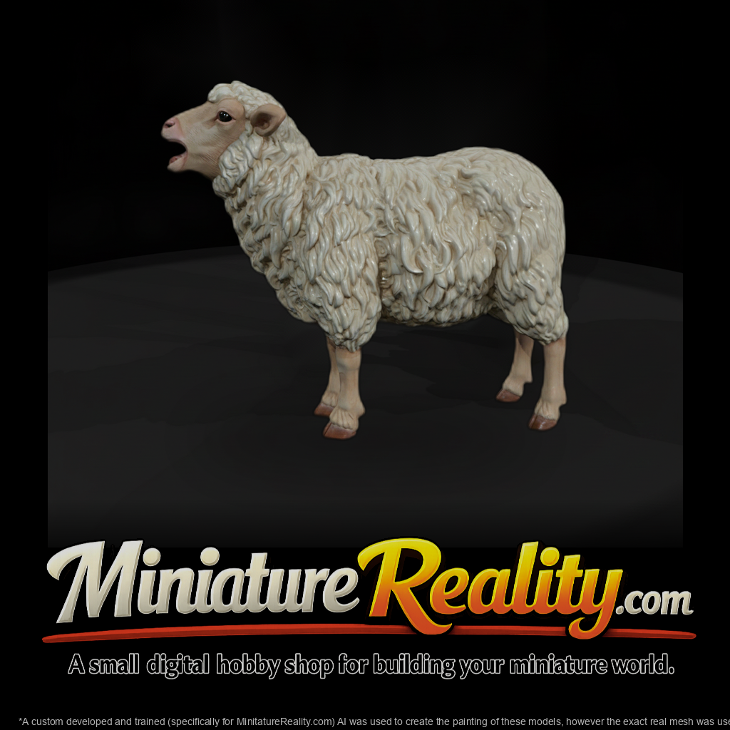 Ww 0304 Animal Ewe