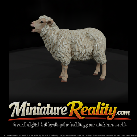 Ww 0304 Animal Ewe