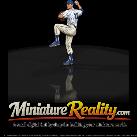 0077-sports-baseball-pitcher-windup