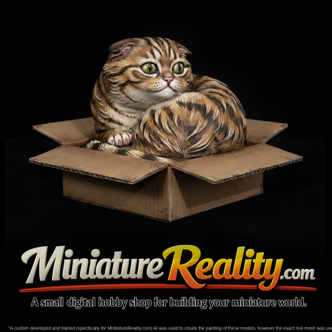 Scottish Fold Cat in Cardboard Box