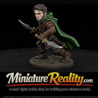 fadv-05-halfling-rogue-504eee — thumbnail 1