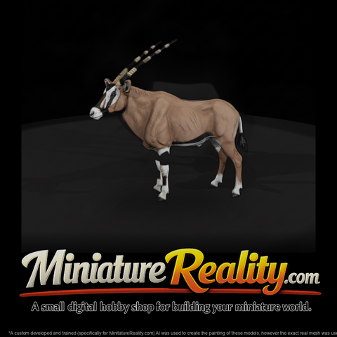 Ant 229 Gemsbok Male