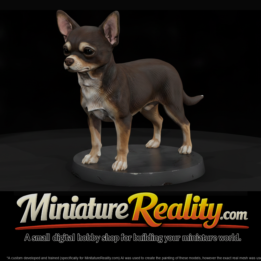 Standing Chihuahua