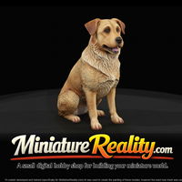 farm-dog — thumbnail 3