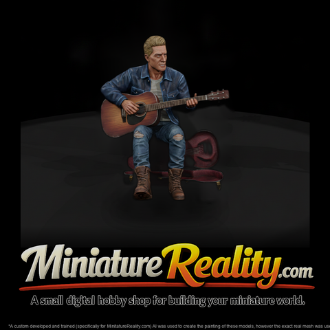 0195 Musician Street Guitar Case