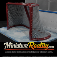 Hockey Goal Net with Rink Boards — thumbnail 1