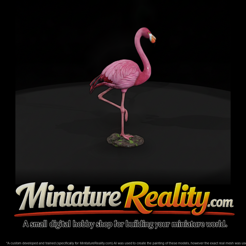 Ant 127 Greater Flamingo Male
