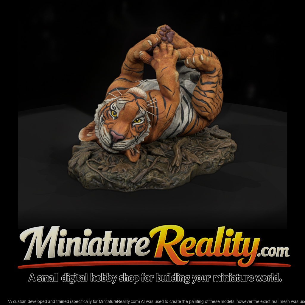 Young Bengal Tiger Rolling