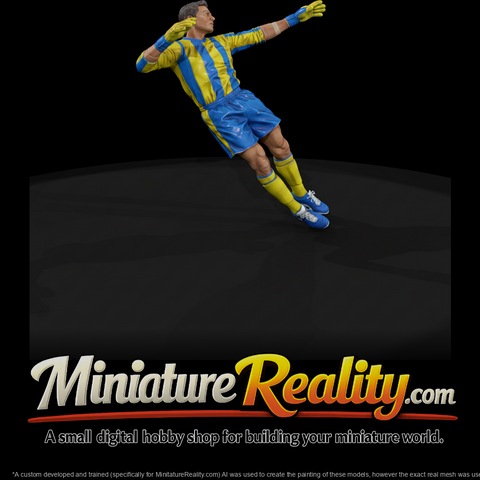 0072-sports-soccer-goalkeeper-dive