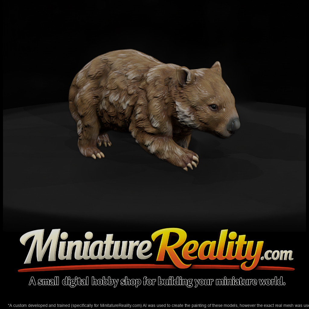 Young Wombat